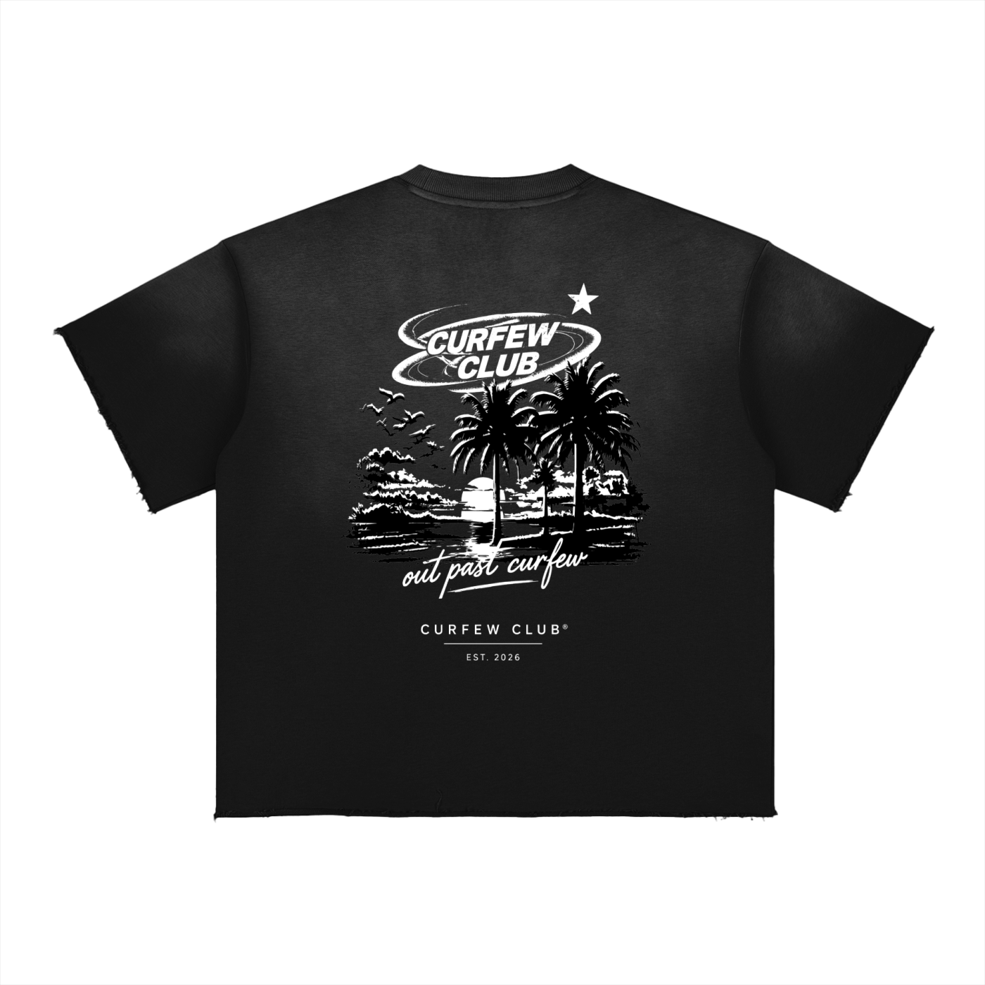"Past Curfew" Faded Tee