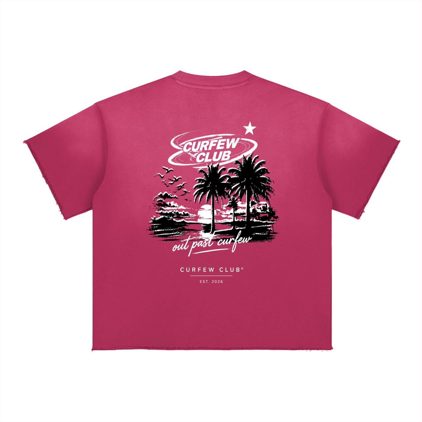 "Past Curfew" Faded Tee