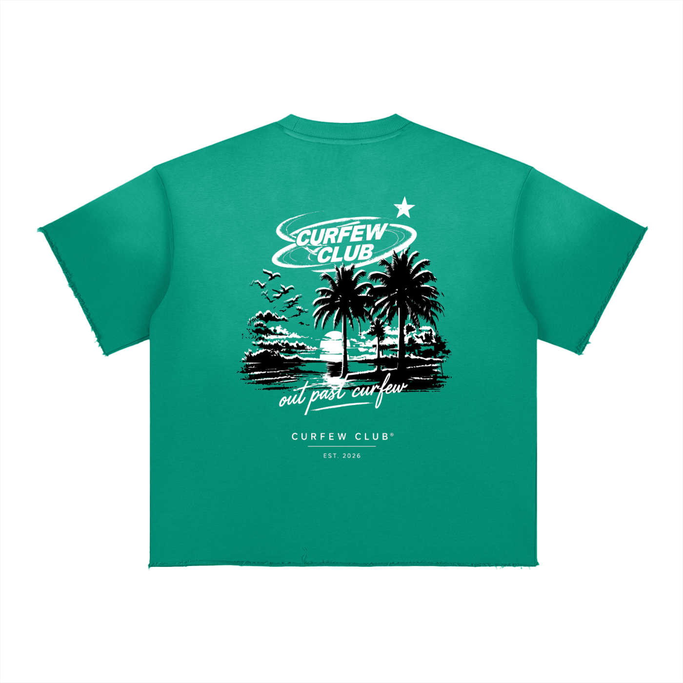 "Past Curfew"  Faded Tee